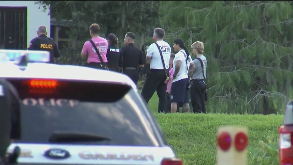 12-foot alligator kills 71-year-old man fishing in Florida lake — CBS Miami, Dallas Community news
