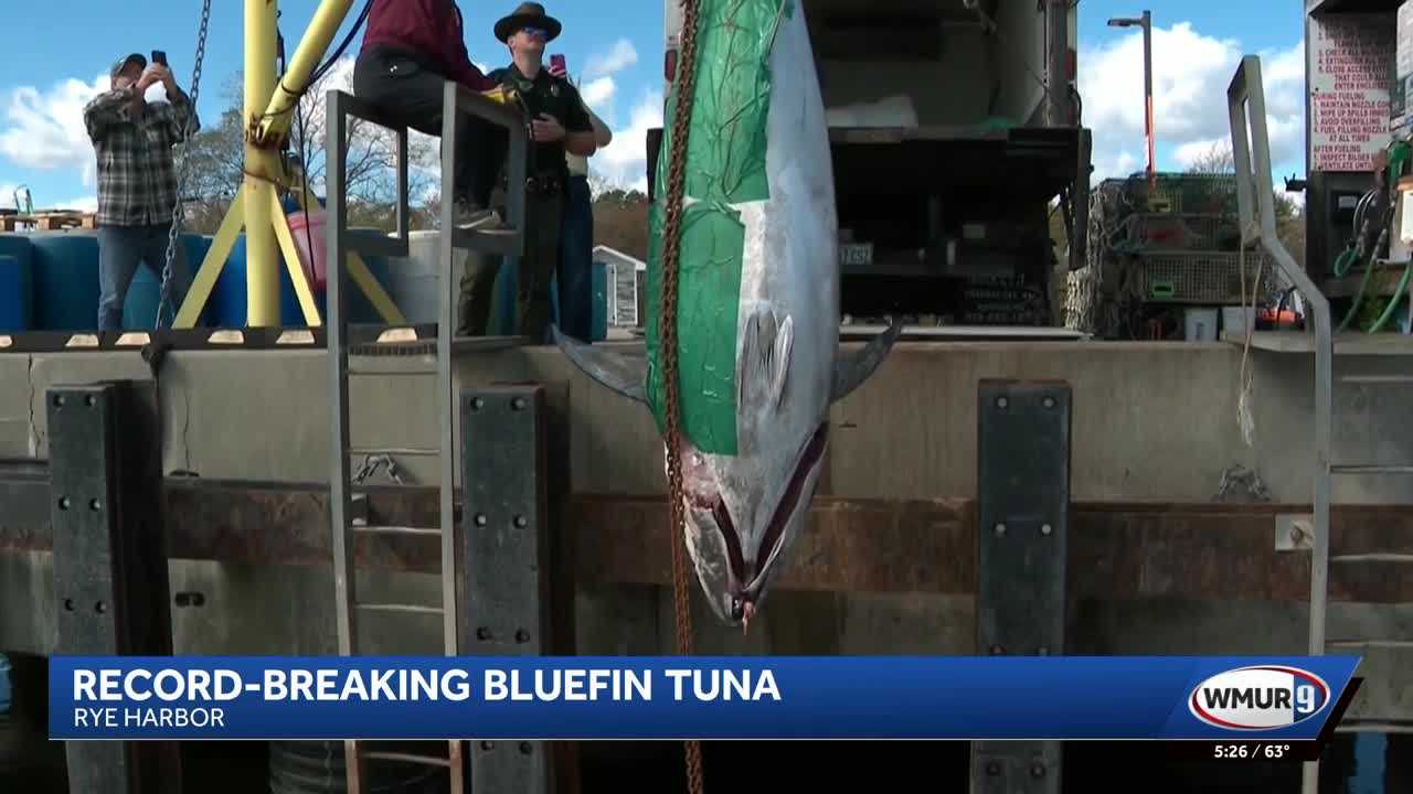 'Something that you dream of': 1,116-pound bluefin tuna catch sets a record — WISN 12 Milwaukee, Dallas Community news