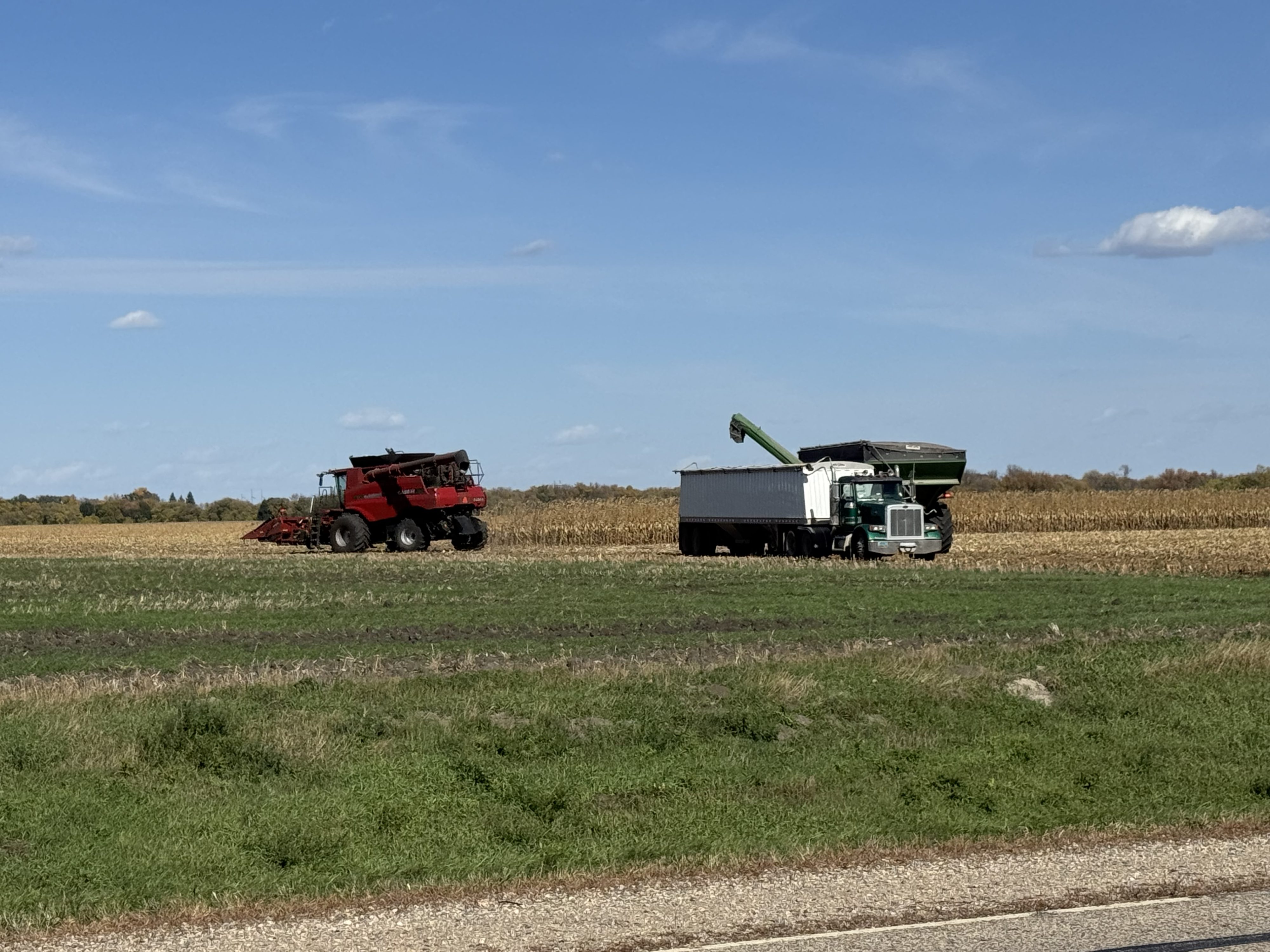 USDA announces record 2025 crop year safety net program payments — KFGO, Dallas Community news