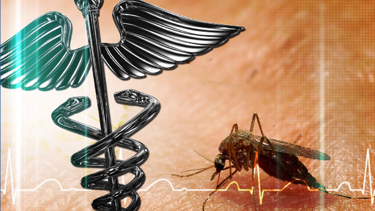 Dallas County reports first West Nile virus death of 2026 season — WFAA (Dallas-Fort Worth)