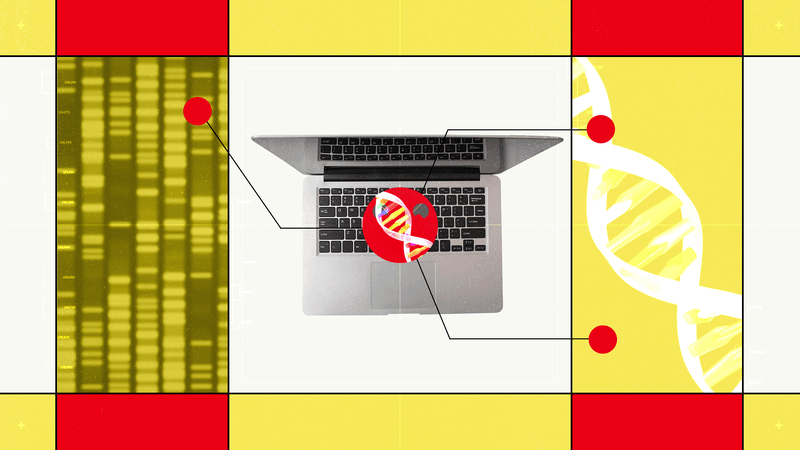 Hugging Face’s New AI Biology Model Lets You Chat With DNA — Wired, Dallas Technology news