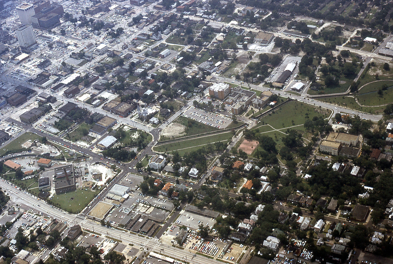 THE JAXSON | The oak tree that remembers Black Bottom — Jacksonville Today, Dallas Schools news